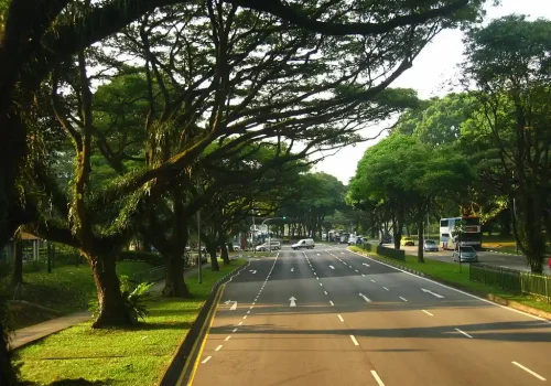 Exploring Indiranagar, Bangalore - Unveiling the Charms of this Vibrant Locale