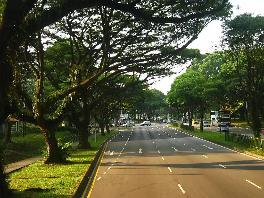 Exploring Indiranagar, Bangalore - Unveiling the Charms of this Vibrant Locale